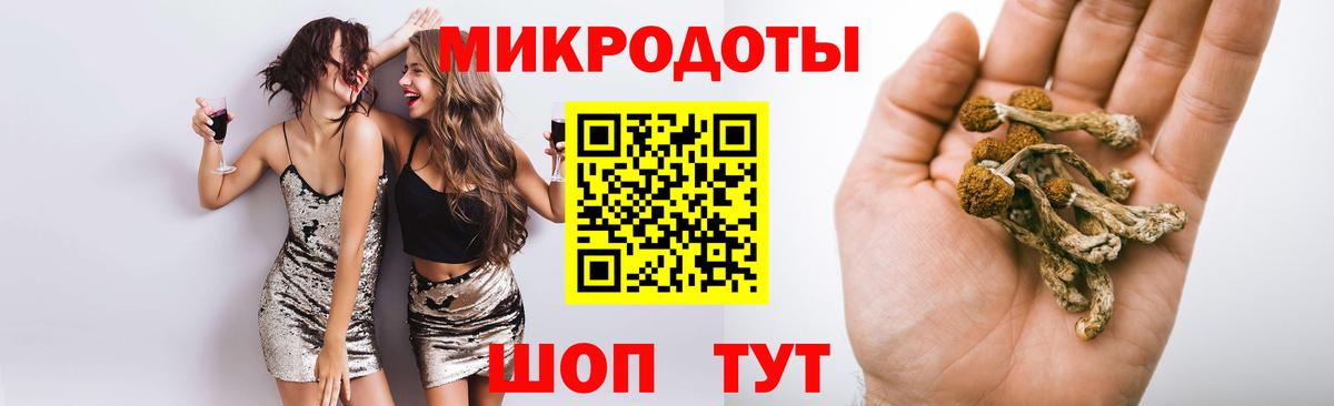Псилоцибиновые грибы мухоморы  Вход с VPN  Северск 